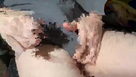 Snapshot of bobbyboobycummy chatting on 03/03/25, 01:53 Heath online show from 03/03/25, 01:53