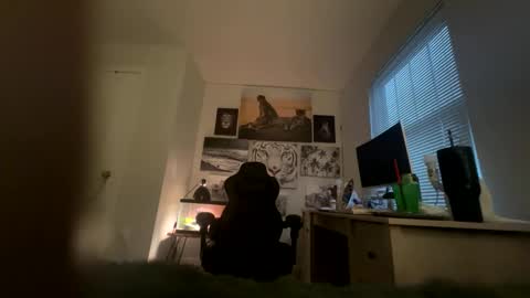 Snapshot of bobbyjones88034 chatting on 03/27/26, 12:05 Luv bug online show from 03/27/26, 12:05