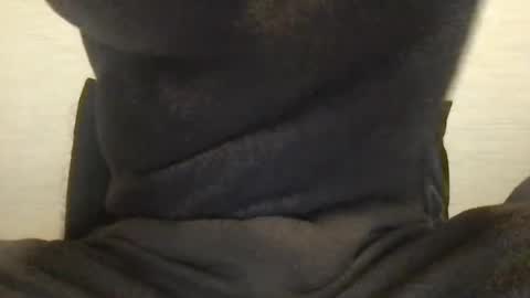 Snapshot of boblight221 chatting on 01/09/25, 09:58 boblight221 online show from 01/09/25, 09:58