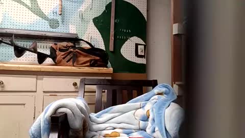 Snapshot of bobmarleybd1420 chatting on 04/11/26, 10:08 bobmarleybd1420 online show from 04/11/26, 10:08