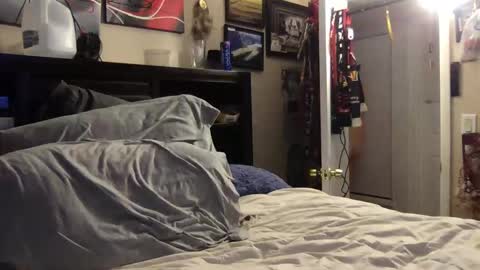 Bobby520 online show from 01/08/25, 05:37