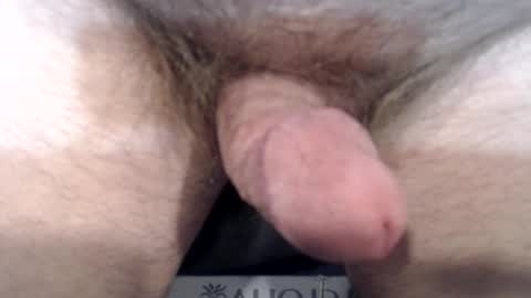 Snapshot of bobswan chatting on 12/22/24, 03:55 bobswan online show from 12/22/24, 03:55