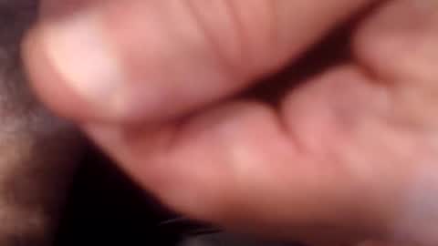 Snapshot of bobswan chatting on 09/09/25, 09:58 bobswan online show from 09/09/25, 09:58