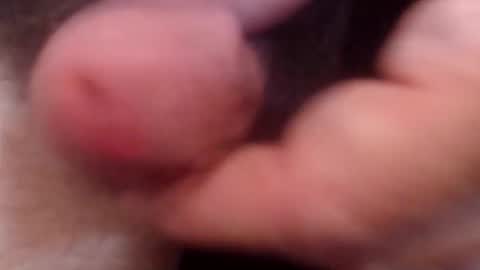 Snapshot of bobswan chatting on 10/21/25, 06:52 bobswan online show from 10/21/25, 06:52