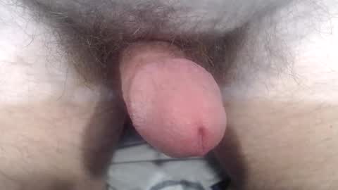 Snapshot of bobswan chatting on 10/24/25, 03:41 bobswan online show from 10/24/25, 03:41