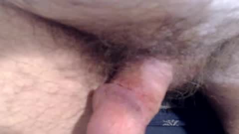 Snapshot of bobswan chatting on 03/08/26, 01:59 bobswan online show from 03/08/26, 01:59