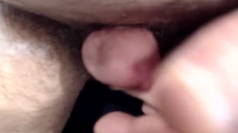 Snapshot of bobswan chatting on 03/15/26, 02:12 bobswan online show from 03/15/26, 02:12