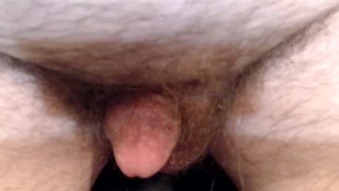 Snapshot of bobswan chatting on 04/13/26, 06:35 bobswan online show from 04/13/26, 06:35