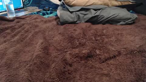 BoldPleasure online show from 12/13/24, 07:10