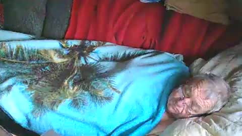 Snapshot of bomber59potsdam chatting on 01/25/25, 11:02 Bomber59potsdam online show from 01/25/25, 11:02