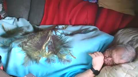 Snapshot of bomber59potsdam chatting on 01/28/25, 10:02 Bomber59potsdam online show from 01/28/25, 10:02