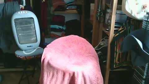 Snapshot of bombero5656 chatting on 12/15/25, 03:16 Bombero56 online show from 12/15/25, 03:16