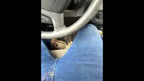 bombinshaman online show from 02/04/26, 05:19