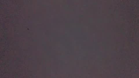 Snapshot of bonershow chatting on 11/21/25, 02:27 bonershow online show from 11/21/25, 02:27