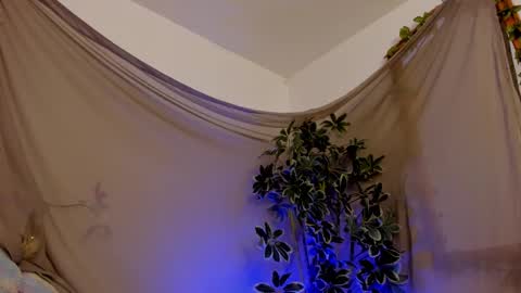   online show from 10/11/25, 11:47