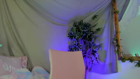   online show from 11/22/25, 12:09