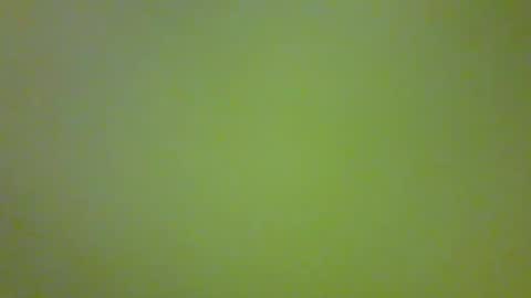 Snapshot of bonniediamond chatting on 10/30/25, 06:52 bonniediamond online show from 10/30/25, 06:52