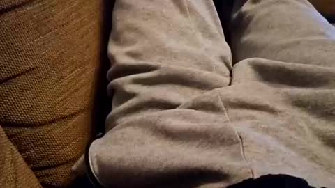 Snapshot of bonny8723 chatting on 12/22/24, 07:42 bonny8723 online show from 12/22/24, 07:42