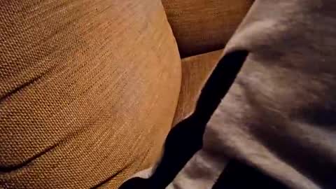 Snapshot of bonny8723 chatting on 10/18/25, 07:25 bonny8723 online show from 10/18/25, 07:25