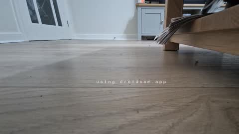 Snapshot of bonny8723 chatting on 01/13/26, 06:57 bonny8723 online show from 01/13/26, 06:57