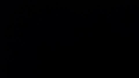 Soffy Brooks Independent model online show from 12/12/24, 08:47