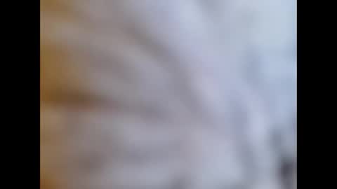 Snapshot of bonop1 chatting on 01/01/25, 01:59 bonop1 online show from 01/01/25, 01:59