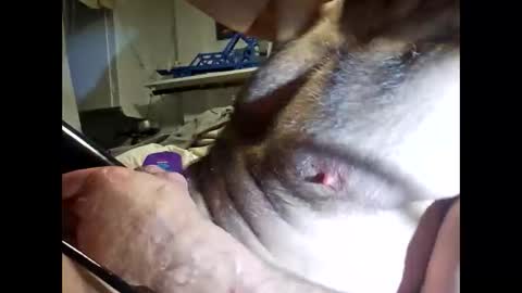 bonop1 online show from 03/19/26, 10:19