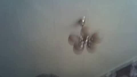 bony_may4 online show from 01/12/25, 11:28