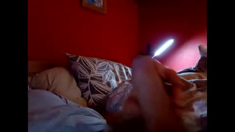 bonzoband online show from 02/09/26, 11:25