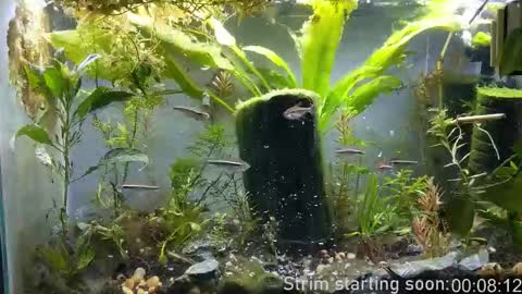 Booker Baxton online show from 11/04/25, 04:00