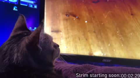 Booker Baxton online show from 11/16/25, 04:07