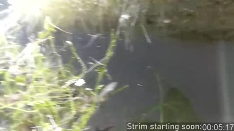 Booker Baxton online show from 11/27/25, 04:03