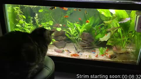 Booker Baxton online show from 12/05/25, 03:59