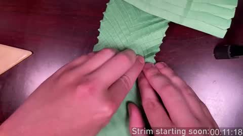 Booker Baxton online show from 01/13/26, 03:56