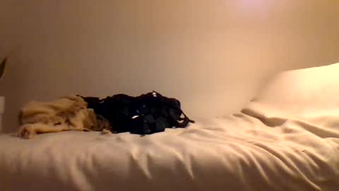 booty4pegging online show from 03/03/25, 05:39