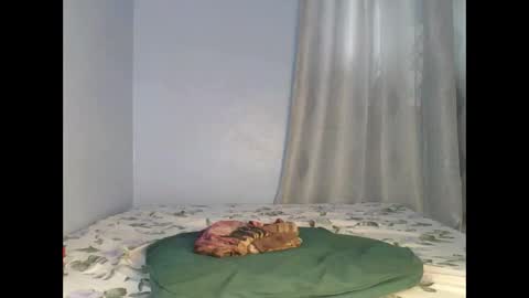 Snapshot of booty_panther chatting on 09/26/25, 06:50 sandrah online show from 09/26/25, 06:50