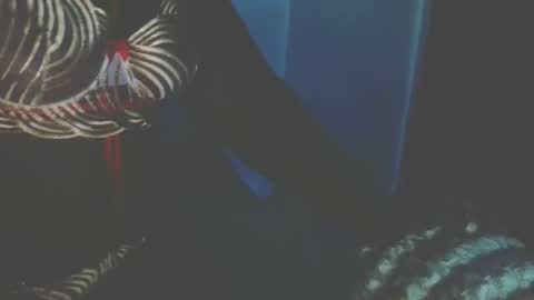 bootylicious254 online show from 10/27/25, 06:45