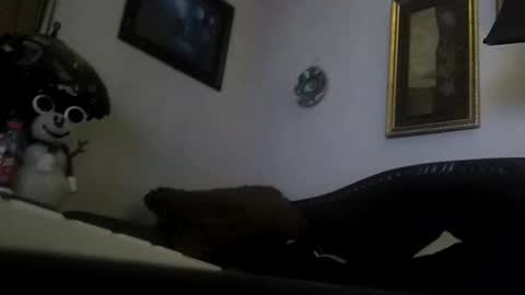 boredaf6678 online show from 12/23/24, 09:05