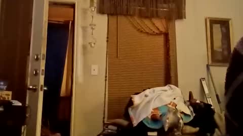 boredaf6678 online show from 11/22/25, 11:59