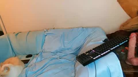 Snapshot of boredandirish21 chatting on 10/04/25, 04:49 boredandirish21 online show from 10/04/25, 04:49