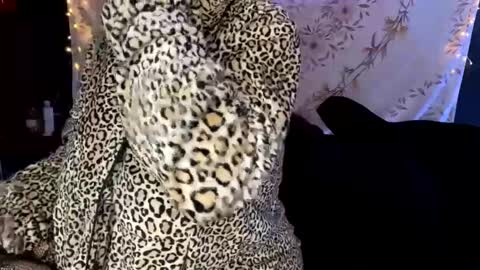 Snapshot of bossmomma chatting on 12/13/24, 04:33 BossMom online show from 12/13/24, 04:33