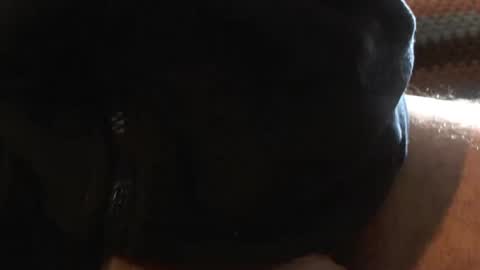 bossram160 online show from 03/06/25, 09:36