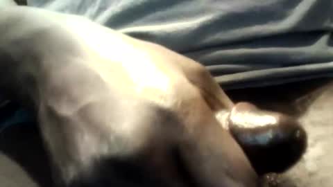 botofogo online show from 10/12/25, 01:59