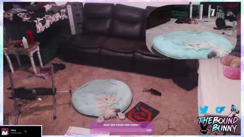 Snapshot of boundbunny98 chatting on 03/07/26, 01:13 TheBoundBunny online show from 03/07/26, 01:13