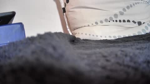 Snapshot of boy3911 chatting on 02/11/25, 05:40 boy3911 online show from 02/11/25, 05:40