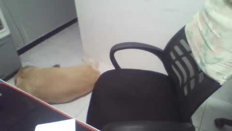 Snapshot of boy_fitbrutal chatting on 12/02/25, 01:55 boy_fitbrutal online show from 12/02/25, 01:55