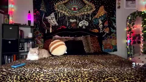 Snapshot of boysdroollx chatting on 12/28/24, 03:26 Puddin online show from 12/28/24, 03:26