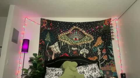 Puddin online show from 11/24/25, 04:56