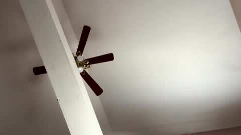 boysetsfire34 online show from 11/08/25, 05:23