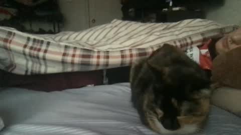 Snapshot of boywithbug chatting on 02/13/25, 10:54 boywithbug online show from 02/13/25, 10:54